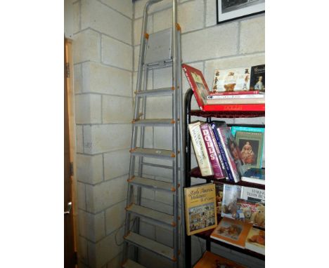 An aluminium step ladder