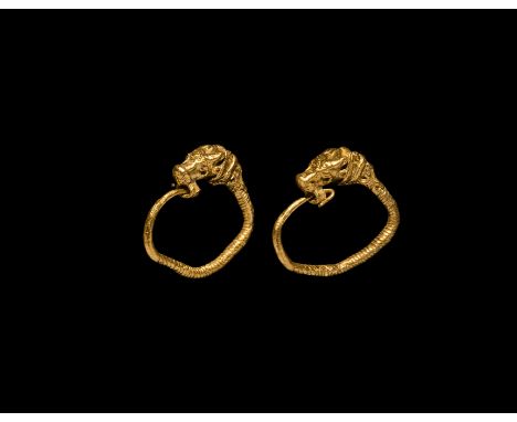5th-3rd century BC. A matched pair of gold earrings, each a slender hoop with coil detailing, lion's head finial with securin