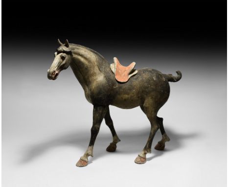 Tang Dynasty, 618-906 AD. A ceramic figure formed as a walking horse, saddled, head to one side, whinnying; ears erect, wide 