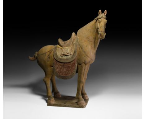 Tang Dynasty, 618-906 AD. A ceramic figure of a horse on a rectangular base, standing with head turned, detailed modelling to