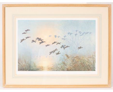 Peter Scott (1909-1989)/Ducks in Flight/signed in pencil lower right/print in colours, 34.5 x 52cm CONDITION REPORT: Conditio