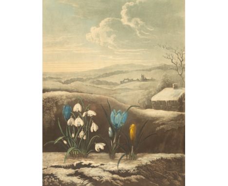 William Ward (1829-1908)/The Snowdrop/after Abraham Pether/mezzotint in colours, 44 x 33cm/with two further prints by differe