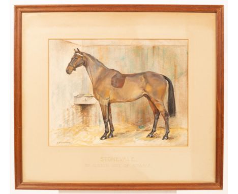 A R Mackinnon/Study of a Stabled Horse, Stonevale/signed /pastels, 35cm x 45.5cm CONDITION REPORT: Condition information is n