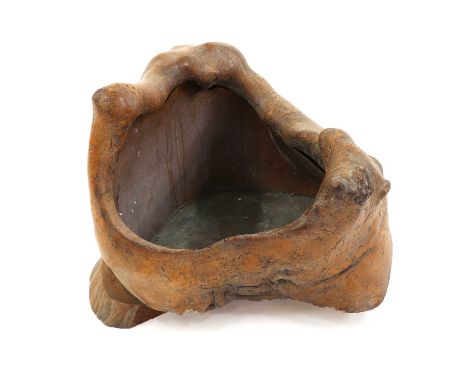 A burr wood stand or trough,carved from a tree trunk, with a brass liner, missing parts of the base, 60cm wide 45cm highCondi