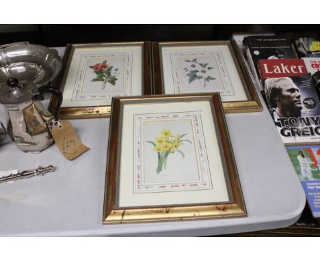 THREE LIMITED EDITION, BRITISH MUSEUM, NATURAL HISTORY FLORAL PRINTS WITH CERTIFICATES TO THE BACK