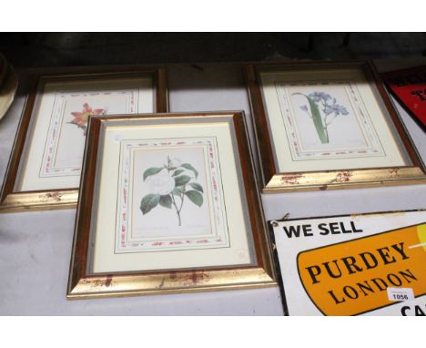 THREE LIMITED EDITION, BRITISH MUSEUM, NATURAL HISTORY FLORAL PRINTS WITH CERTIFICATES TO THE BACK