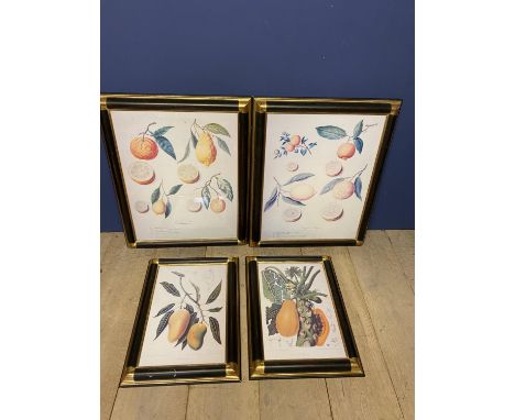 2 pairs of framed and glazed decorative botanical fruit prints  (condition - the larger pair faded) 