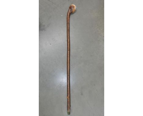 A wooden walking stick