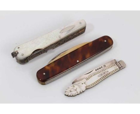 Fine quality 19th century mother of pearl mounted pen knife, housing fifteen various blades and tools, stamped to blades WRIG
