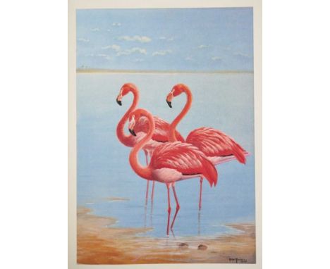 Philip Rickman - A Selection of Bird Paintings &amp; Sketches, signed limited edition, numbered 257 from an edition of 500, 1