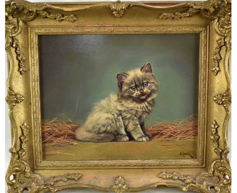 Alicia J. Leman, oil on panel, A British short hair kitten, signed, in gilt frame. 23 x 30cm.The panel is in good presentable