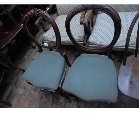 Pair of  Victorian  mahogany carved hooped  backed dining chairs each on cabriole legs, the padded seats of each in light gre