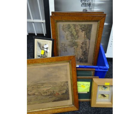 Box of framed hunting prints, WWI cartoons, framed fishing flies etc