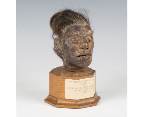 A model of a shrunken head, mounted on an oak pedestal bearing label detailed 'Shrunken Human Head of Young Male Warrior of I