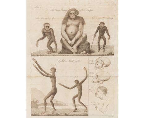 Theory of evolution.- White (Charles) An Account of the Regular Gradation in Man, first edition, 4 engraved plates (3 folding