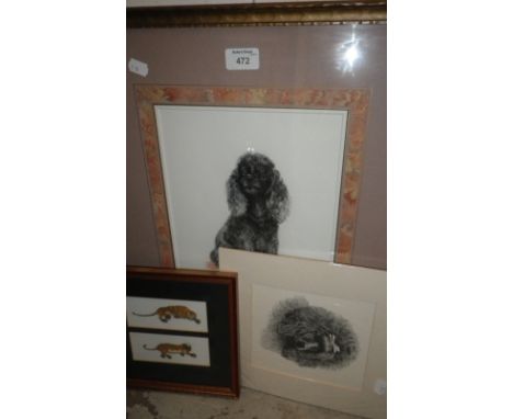 Alice Scott: 'Sleeping Tigers', together with a drawing of a Poodle by Michelle Pearson Cooper and a print of a Poodle 