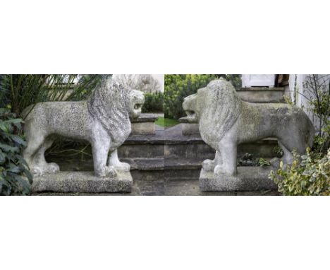 A PAIR OF CARVED MARBLE LION SCULPTURES approximately 103cm long x 28cm wide x 84cm high Condition: in weathered condition, w
