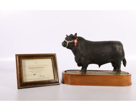 Royal Worcester porcelain model of a Aberdeen Angus Bull modelled by Doris Lindner on wooden plinth base with certificate of 