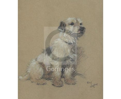 Cecil Charles Windsor Aldin (1870-1935)pastelPortrait of a terriersigned14 x 12in.