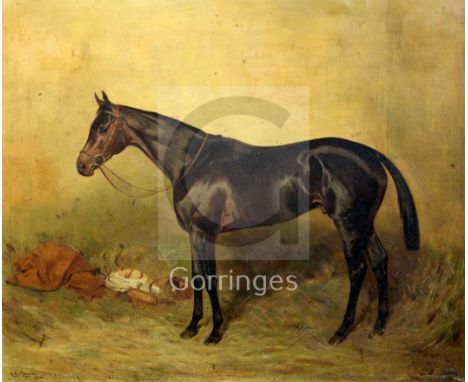 Alfred Grenfell Haigh (1870-1963)oil on canvasPortrait of a horse 'Beppo'signed and dated 190617 x 21in.
