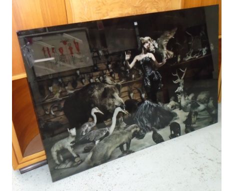 PHOTOGRAPHIC PRINT, on glass, lady with taxidermy and hunting trophies, 150cm x 104cm.