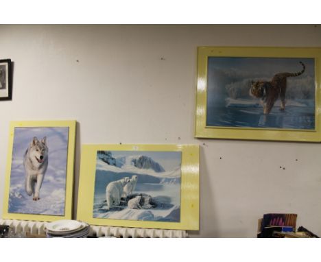 THREE FRAMED PRINTS OF ANIMALS TO INCLUDE A LEONARD PEARMAN PRINT OF POLAR BEARS. AND ALSO A TIGER 