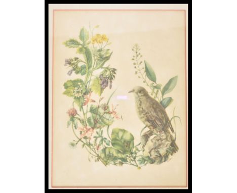 A collection of six vintage 20th Century framed bird prints each showing different species of bird amongst foliage marked Wes