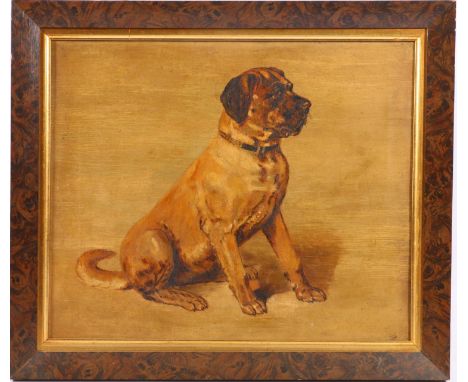 Manner of MARION RODGER HAMILTON HARVEY (Scottish, 1886-1971)&nbsp; Study of a dog&nbsp; Oil on canvas, unsigned, 25cm x 31cm