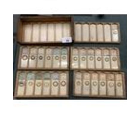 VINTAGE WOODEN CASED MICROSCOPE SLIDES DATING TO 1881 