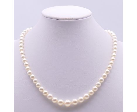 A single strand pearl necklace with a 9 ct gold clasp. 40 cm long.