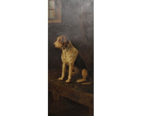 A Portrait of a Hound, oil on canvas, signed K ALLCOCK and dated 1905, unframed. 38 x 94 cm.