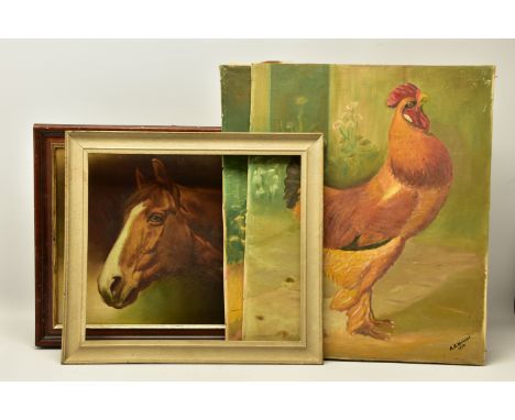 A.R. MANCHE (20TH CENTURY) TWO NAIVE STUDIES OF ORNAMENTAL CHICKENS, both signed and dated 1958, oils on canvas, approximate 