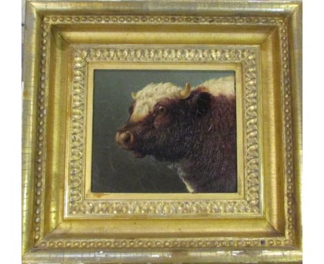 Small oil on canvas portrait of a bull in a gilt frame, slightly indistinct signature lower right corner possibly Rosa Bonheu