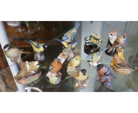 A collection of 11 Royal Worcester British bird ornaments 