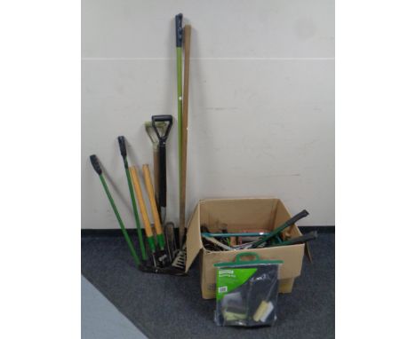 A box containing a large quantity of assorted garden tools, hand tools, hand saw, power tools and a cobbler's last 