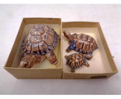 Three graduated Wade ceramic tortoises with original Wade box 