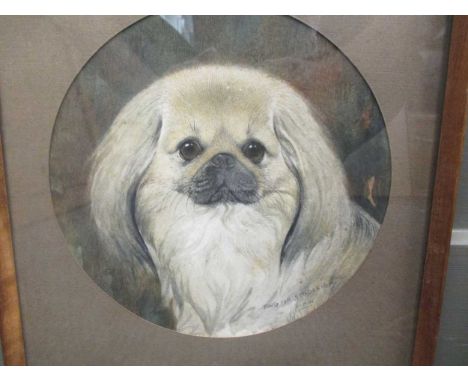 William H Weatherhead RI Pekinese dog portrait 'Tong of Studleigh (Yorkshire)' signed with initials, watercolour; R.Graham. P