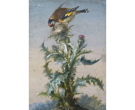   Zoologie - Ornithologie - - Ernst Friedrich Carl (Umkreis) Lang. Goldfink auf einer Distel. Gouache auf Papier. 28,8 x 20,7