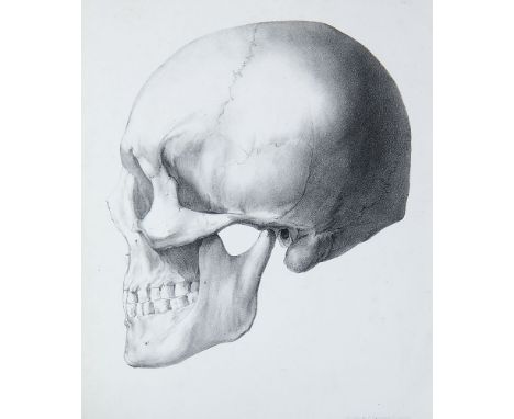   Medizin - - Carl Gustav Carus. Atlas der Caranioscopie, oder Abbildungen der Schaedel- und Anlitzformen beruehmter oder son