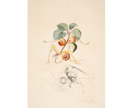 Salvador Dalí (1904-1989)Abricot chevalier, from Flordali (Field 69-11D; M&L 347b)Photolithograph printed in colours with eng