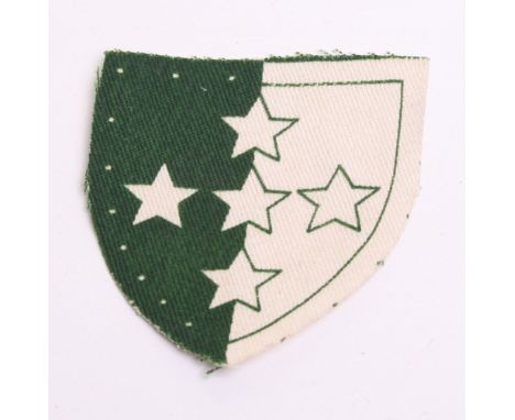 Rare 1st Pattern Royal Army Dental Corps Southern Command Formation Sign being equally divided shield, left side green, right