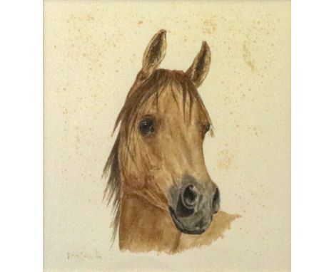 English School, 20th Century, Portrait of a horse, indistinctly signed (lower left), watercolour, 13 x 12cm, together with th