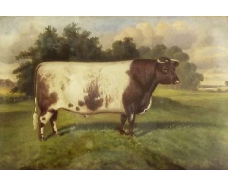 W M Albert Clark - naive oil on canvas of a prize bull in landscape signed W A Clarke 1917, entitled to frame 'Goole Nobleman