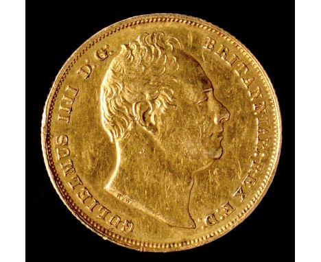 William IV, gold Sovereign, 1831, first bust, w.w. incuse with stops (S 3829). Scored behind ear and on neck, otherwise nearl