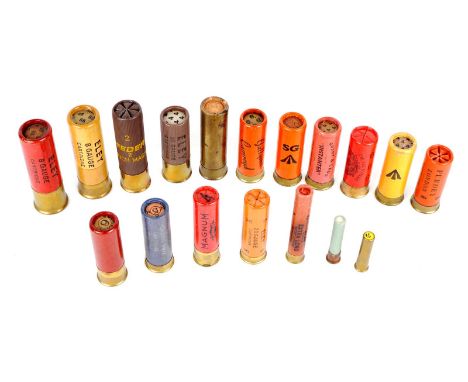 Ƒ  A collection of shotgun cartridges, including 9mm, .410, 20 bore, 16 bore, 14 bore (1), 12 bore, 10 bore (2) and 8 bore (2
