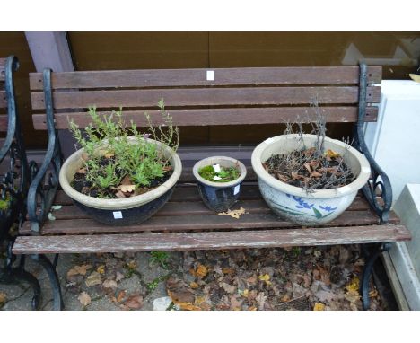 A garden bench.