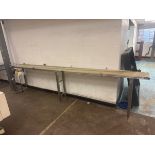 STRAIGHT SECTION OF INFEED CONVEYOR