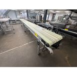 DORNER STRAIGHT SECTION OF CONVEYOR