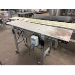 DORNER STRAIGHT SECTION OF CONVEYOR