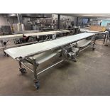 STRAIGHT SECTION OF S/S CONVEYOR